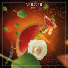 Carica l'immagine nel visualizzatore di Gallery, Lampe Berger Paris Profumo per ambiente Pétillance Exquise 115180 ricarica da 500 ml