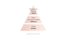 Carica l'immagine nel visualizzatore di Gallery, Lampe Maison Berger Paris ricarica Profumo Amour D'Hibiscus 500 ml Hibiscuis Love