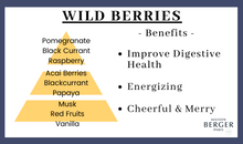 Carica l'immagine nel visualizzatore di Gallery, Lampe Berger Paris profumo per ambiente Baies Sauvages - Wild Berries 500ml