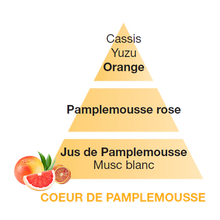 Carica l'immagine nel visualizzatore di Gallery, Lampe Berger Paris ricarica Cœur de Pamplemousse 500ml