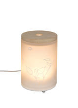 Carica l'immagine nel visualizzatore di Gallery, Lampe Berger Paris Diffusore Elettrico AROMA RELAX con Ricarica da 475 ml con luce e telecomando