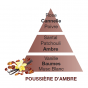 Carica l'immagine nel visualizzatore di Gallery, Lampe Berger Paris Profumo per ambiente Poussière d'Ambre 500ml