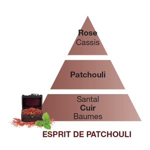 Lampe Berger Paris ricarica profumo Parfum de Maison Esprit de Patchouli 500 ml