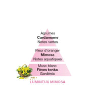 Carica l&#39;immagine nel visualizzatore di Gallery, Lampe Maison Berger Paris ricarica profumo Lumineux Mimosa 500 ml luminous Mimosa
