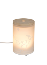 Carica l&#39;immagine nel visualizzatore di Gallery, Lampe Berger Paris Diffusore Elettrico AROMA RELAX con Ricarica da 475 ml con luce e telecomando
